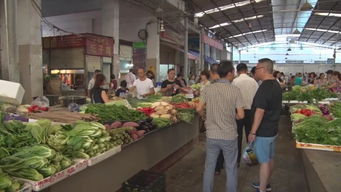 南部重拳出擊 嚴(yán)查食品藥品商家，15起食用農(nóng)產(chǎn)品批發(fā)案件移交公安機(jī)關(guān)