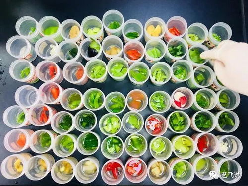 武漢節(jié)前農(nóng)產(chǎn)品質(zhì)量安全獲堅(jiān)實(shí)保障，189批次抽檢結(jié)果全數(shù)合格