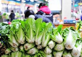 遼寧全面推行食用農(nóng)產(chǎn)品批發(fā)市場(chǎng)進(jìn)貨批批檢驗(yàn)制度