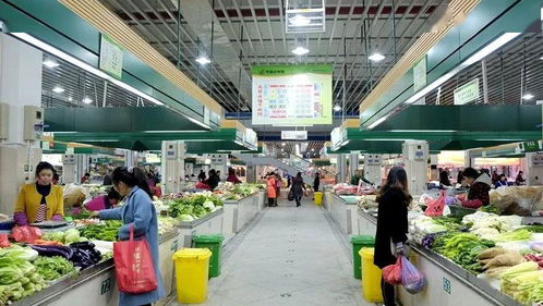 路橋食光 共享美味，打造農產品批發(fā)新生態(tài)